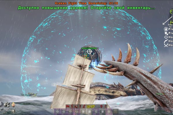 Kraken площадка