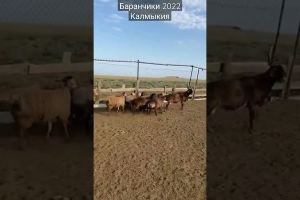 Кракен даркнет вход