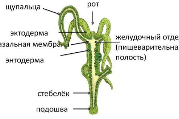 Ссылка кракен сайт зеркало